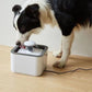 Pet Fountain 2.5L USB Rechargeable