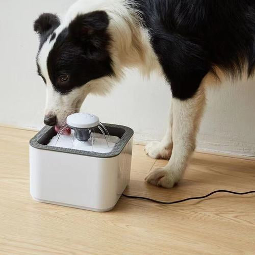 Pet Fountain 2.5L USB Rechargeable