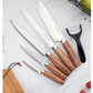 Stainless Steel Kitchen Knife Set Wood Handle 5pc With Wooden Block