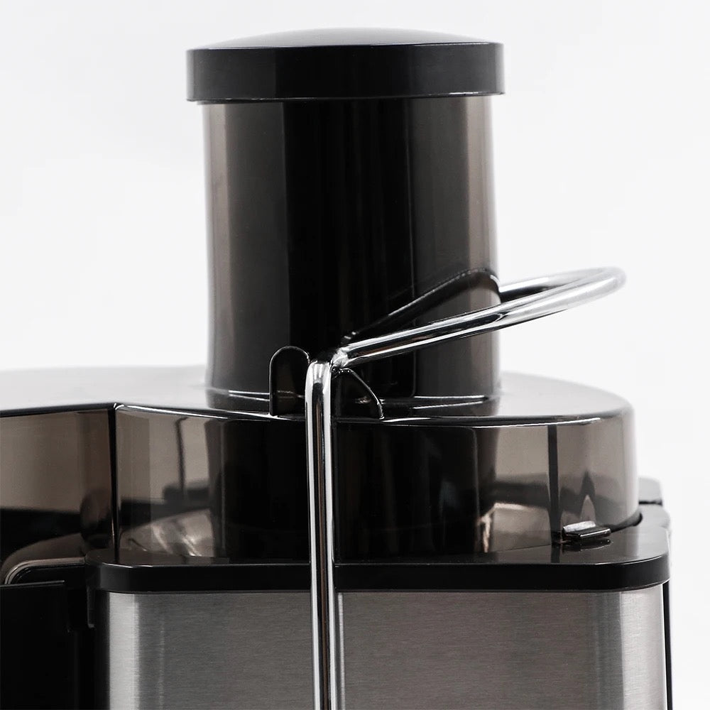 RAF R2817R Electric Juicer Food Grade Stainless Steel Big Feeding Mouth Portable Juice Extractor