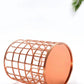 Pencil / Makeup Brush Holder