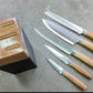 Stainless Steel Kitchen Knife Set Wood Handle 5pc With Wooden Block
