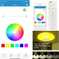 36W RGB LED Ceiling Light with Bluetooth Speaker