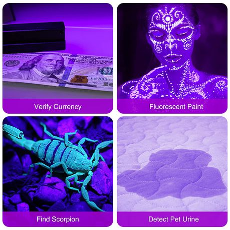Purple 12 LED Portable Flashlight